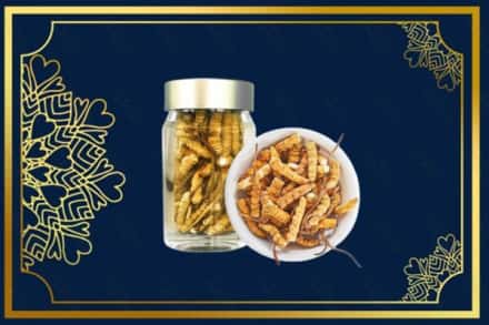 丽江市玉龙回收散虫草